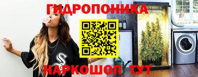 молекула духа Кизилюрт