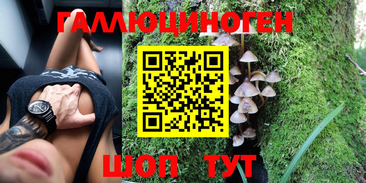 Галлюциногенные грибы Cubensis Ликино-Дулёво