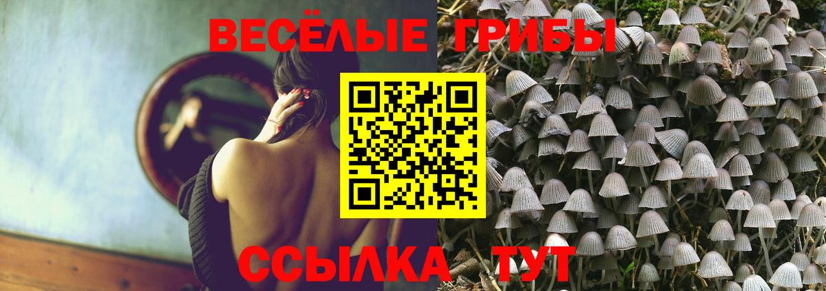 Псилоцибиновые грибы ЛСД  Вход с VPN  Псилоцибиновые грибы мухоморы  Ликино-Дулёво 